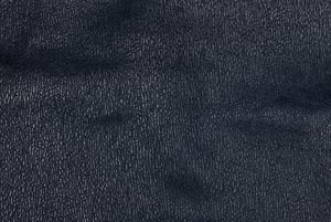 dark navy shark skin showing fine roughness to the hide.