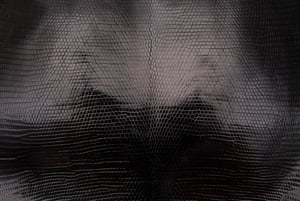 This sleek, textured appearance is a huge selling point for making phone cases out of lizard skin.
