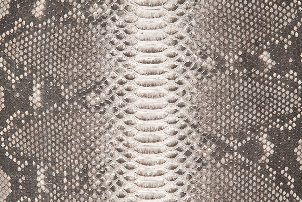 PYTHON_bc matte