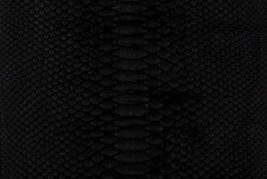 Python_black-2