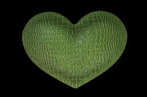 alligator leather in a heart shape
