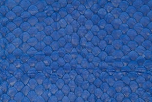 A close-up of the Arapaima's scales.