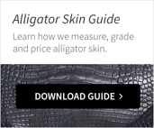 Alligator_CTA