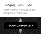 Stingray_CTA