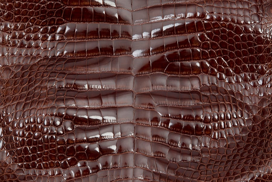 How to Buy Alligator Skin