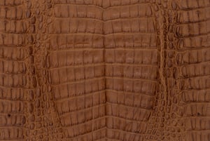 Caiman leather is frequently more deeply ridged than other crocodilian leathers.