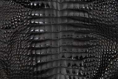 This black alligator skin has a shiny, lustrous appearance that will make for striking footwear.