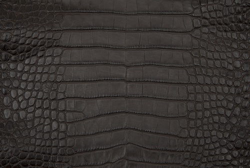 mattebrown