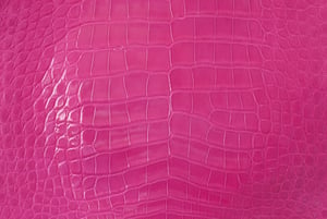 fuschia-colored crocodile skin showing crocodilian scale pattern