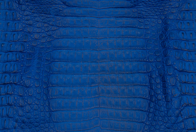 cobalt crocodile skin picture closeup