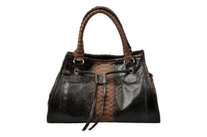 brown_and_black_python_handbag