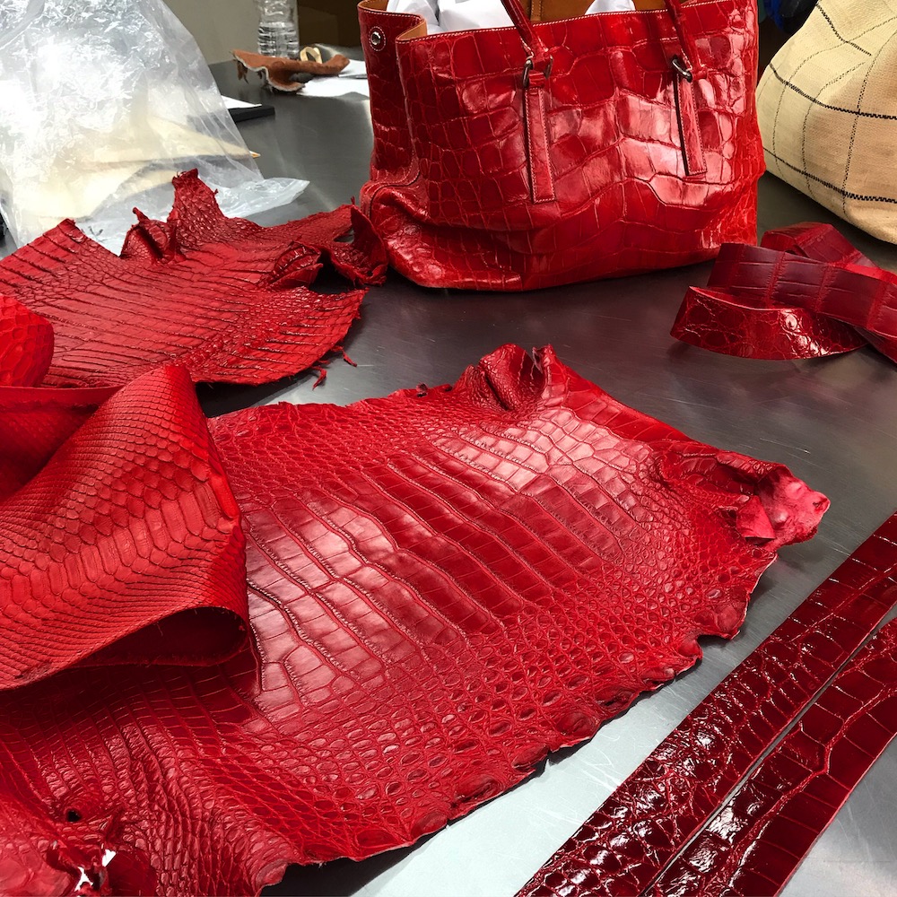 Exotic Leather Blog