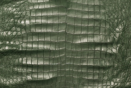 Green Crocodile Skin 