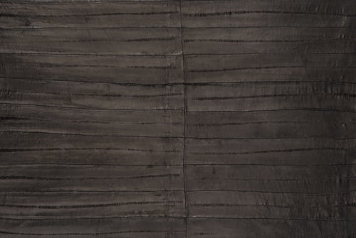Eel skin clearance