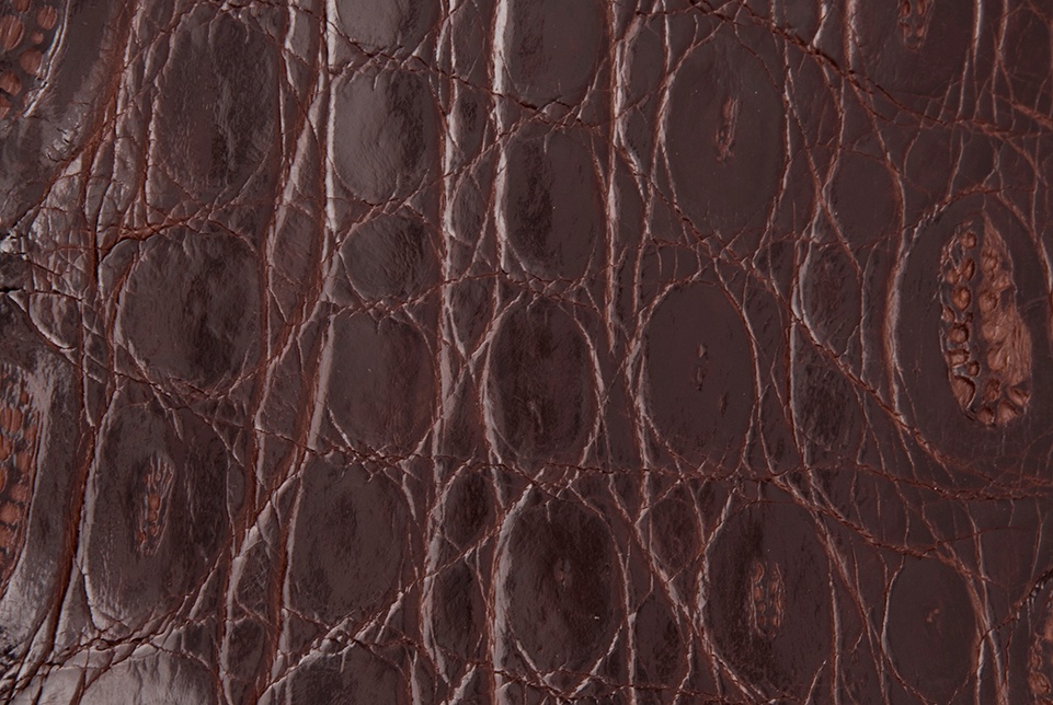 Exotic Leather Blog | crocodile skin