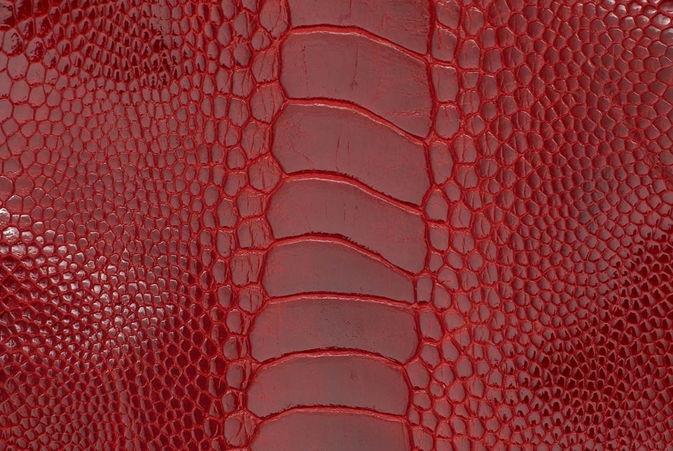 Perfect Projects for Ostrich Leg Leather