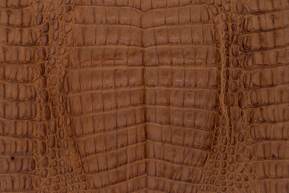 Alligator Caiman and Crocodile Leather and it's Applications by Fischer  Workshops 